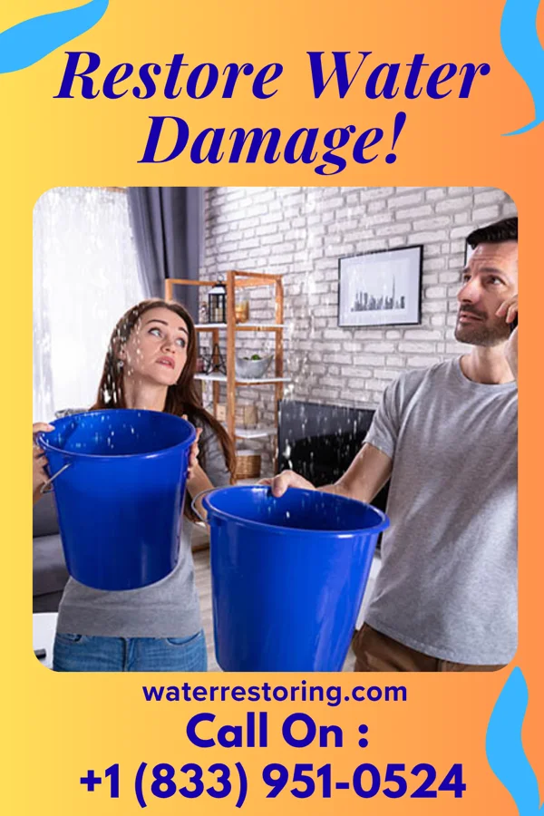 water restoration Elite Flood Services Utica