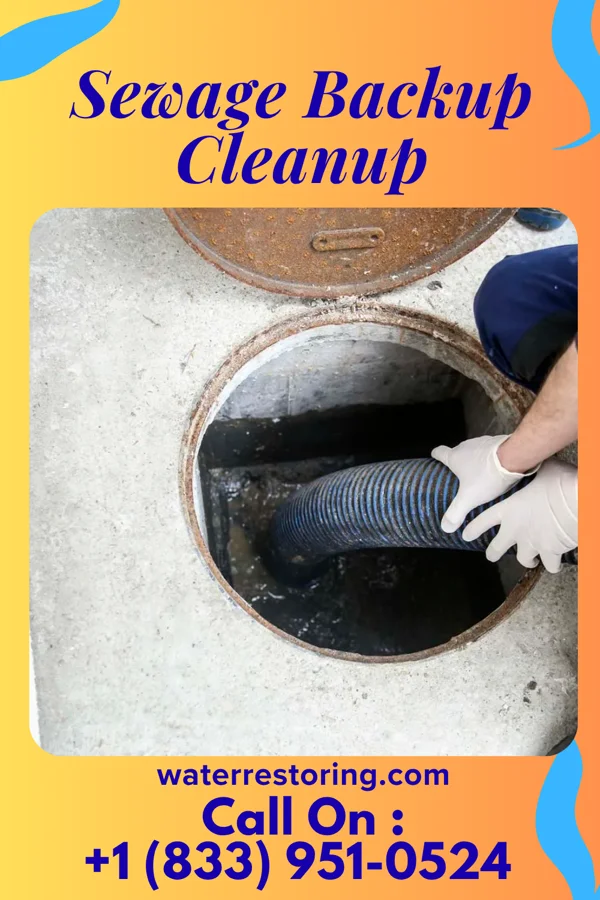 Sewage Backup Cleanup in Utica, OH